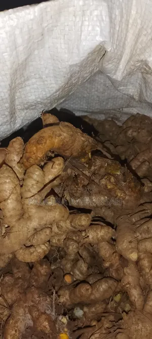 Tumeric for Sale in Large Quantities