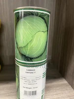 Cabbage Fortune F1 Seeds