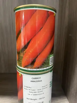 Carrot Amazonia Seeds (Very Sweet Type)