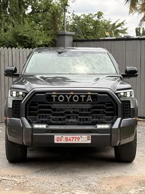 Toyota Tundra Platinum CrewMax 6.5' Bed 2023 Gray