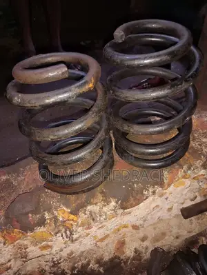 Toyota Fish Coiling Spring