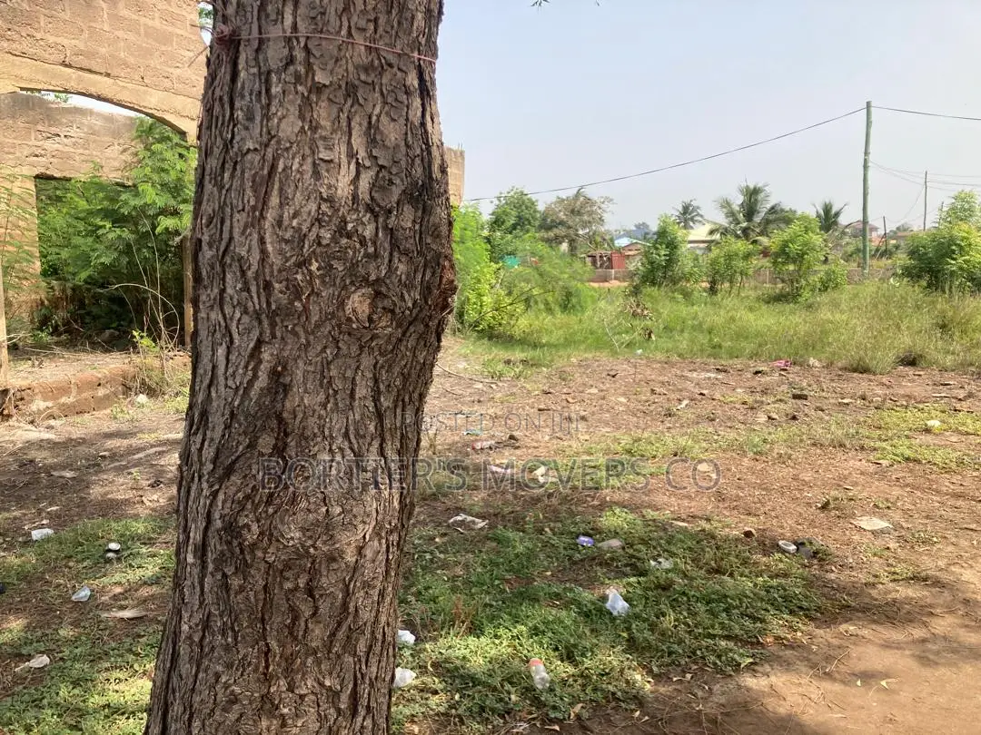 One and Half Plot of Land at Afienya New Jerusalem for Sale.