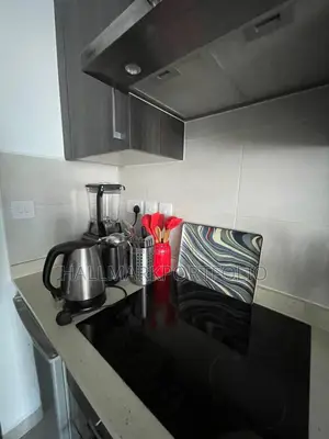Furnished 1bdrm Apartment in Embassy Gardens, Cantonments for sale