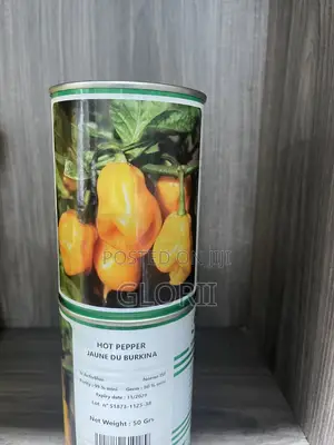 Habanero Peppers (Green to Yellow )