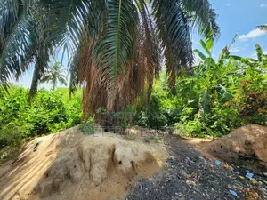 Prime Land for Sale