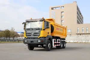 Shacman Sagmoto X3 Truck for Sale