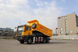 Shacman Sagmoto X3 Truck for Sale