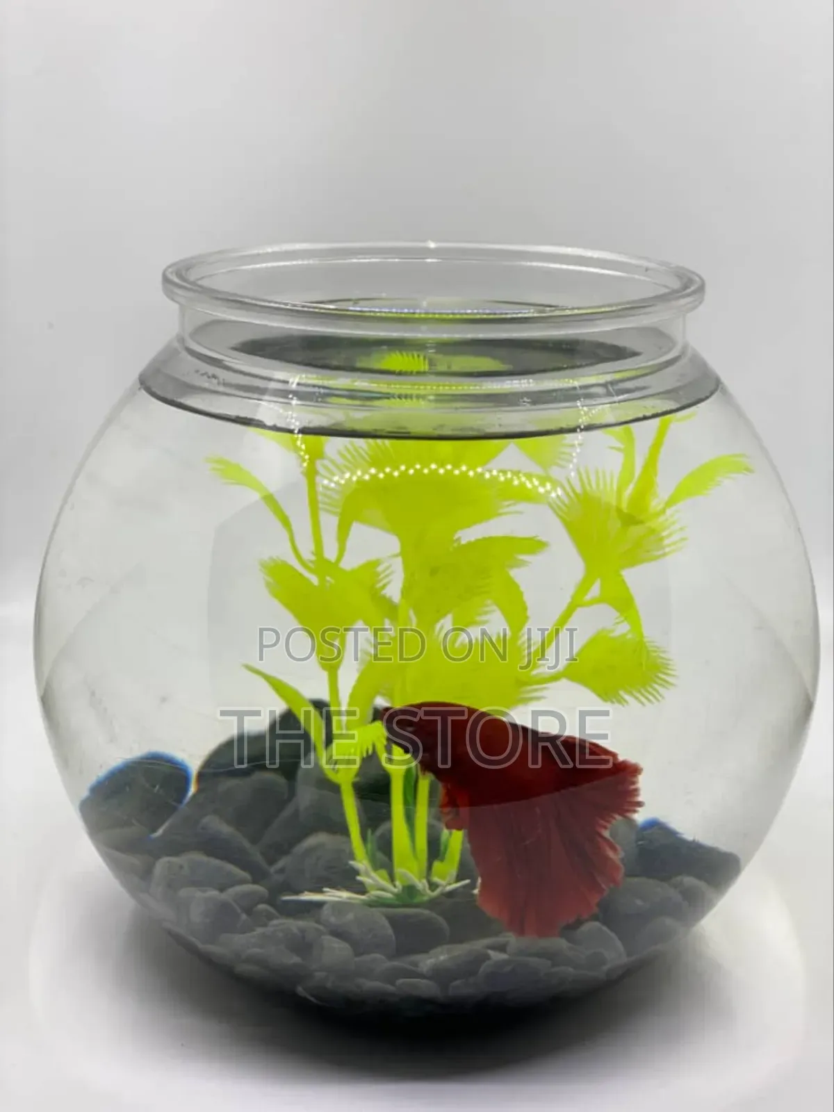 Crystal Clear Desktop Fish Bowl for Sale