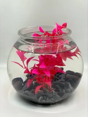 Crystal Clear Desktop Fish Bowl for Sale