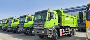 Shacman Sagmoto X3 Truck for Sale