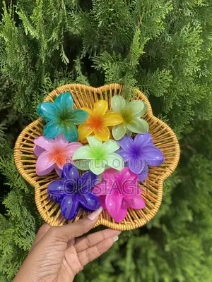 Flower Claw Clips