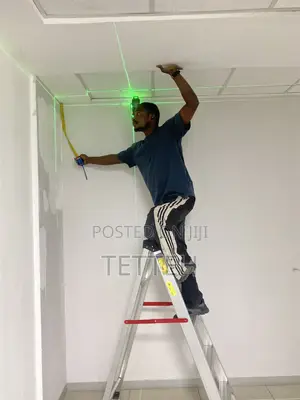 Ceiling Expert.