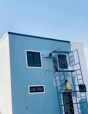 Wall Skimming and Painting