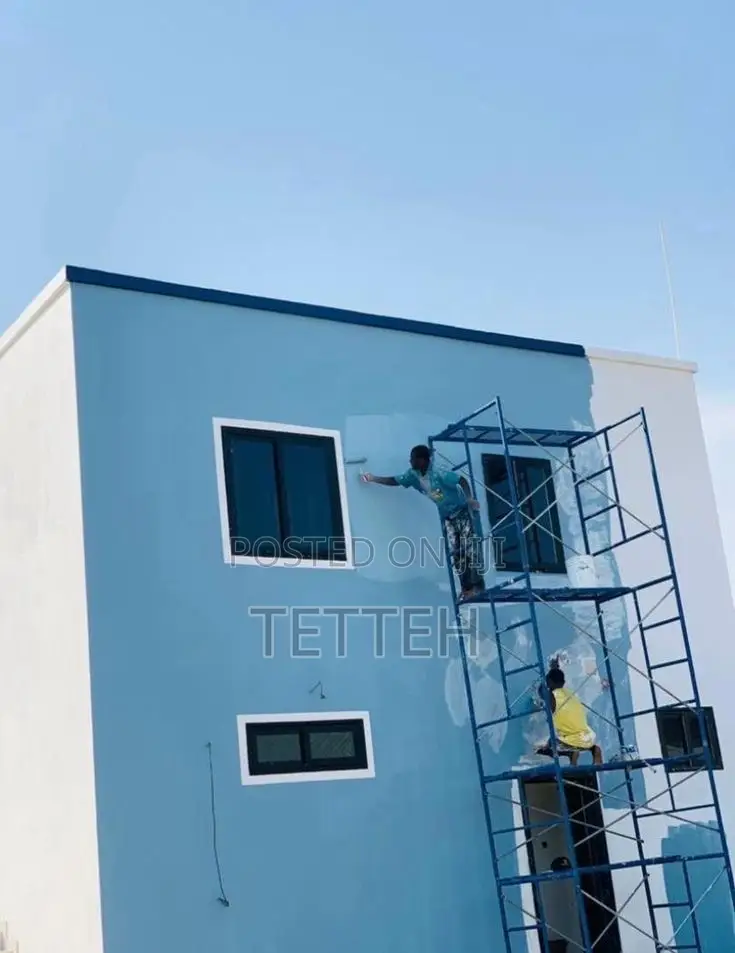 Wall Skimming and Painting