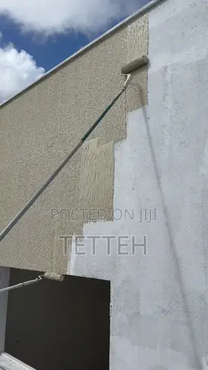 Wall Skimming and Painting