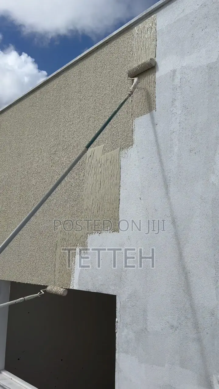 Wall Skimming and Painting