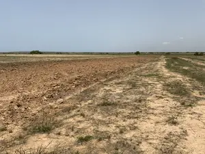 Prampram (Genuine Lands) - Litigation-Free (Plots) . . . . ! * 