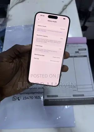 Apple iPhone 15 Pro Max 512 GB Silver