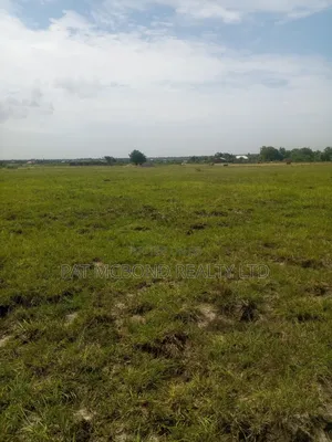 Build-Ready Land at Akwaaba Park