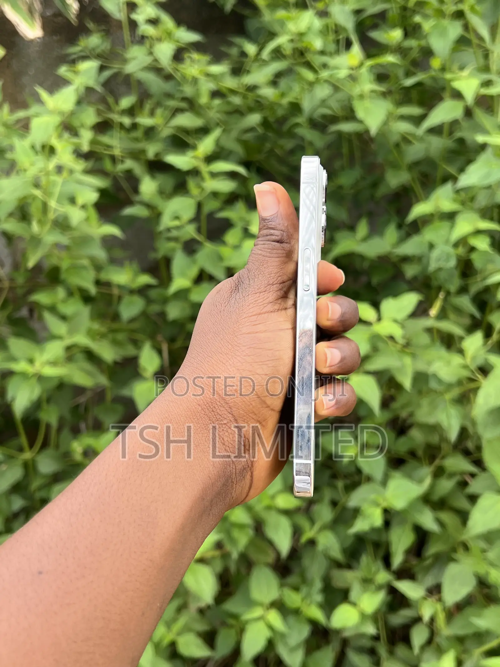 Apple iPhone 13 Pro 128 GB White