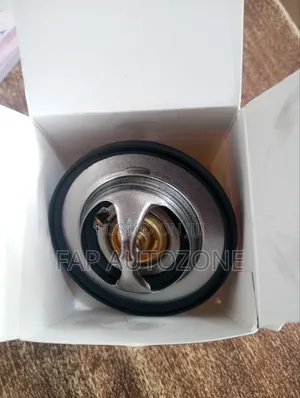 01104. Original RAM 1500 Thermostat Imported From USA