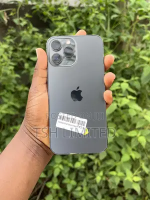 Apple iPhone 13 Pro Max 128 GB Gray