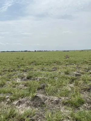 **Prampram** - Genuine Lands (Well-Developed) for Sale *
