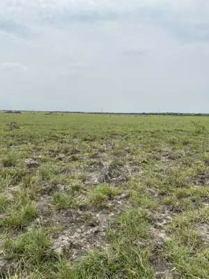 Get a Good Location Land in Prampram (Affordable)