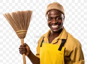 Office/ Home Cleaners
