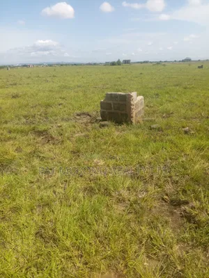 Land At Right Location - (No Issues)