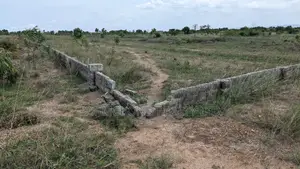 Afienya Right Area for Your Next Property Investment