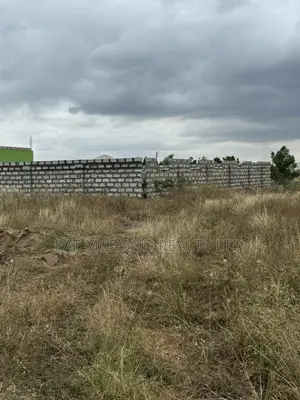 Smart Property Choice Along the Afienya–Dodowa Road