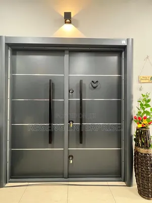 Modern (3)Locks Double Security Door
