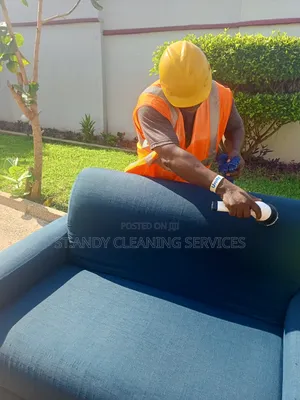 Cleaning Sofa and Polish