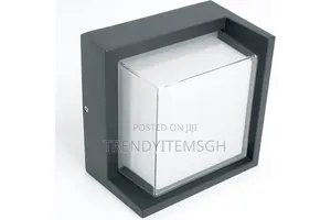 Modern Outdoor/Indoor Led Wall Lamp