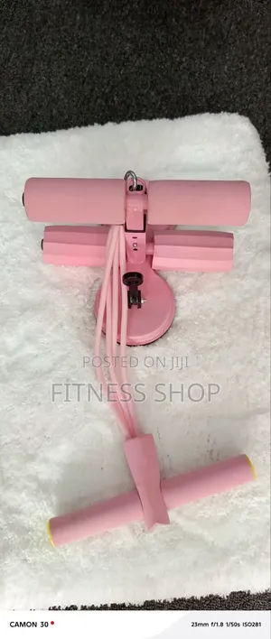 Double Suction Sit Up Bar