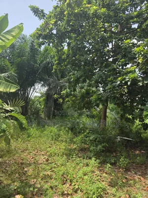 One Half Plot at Ahodwo Nyiayesu