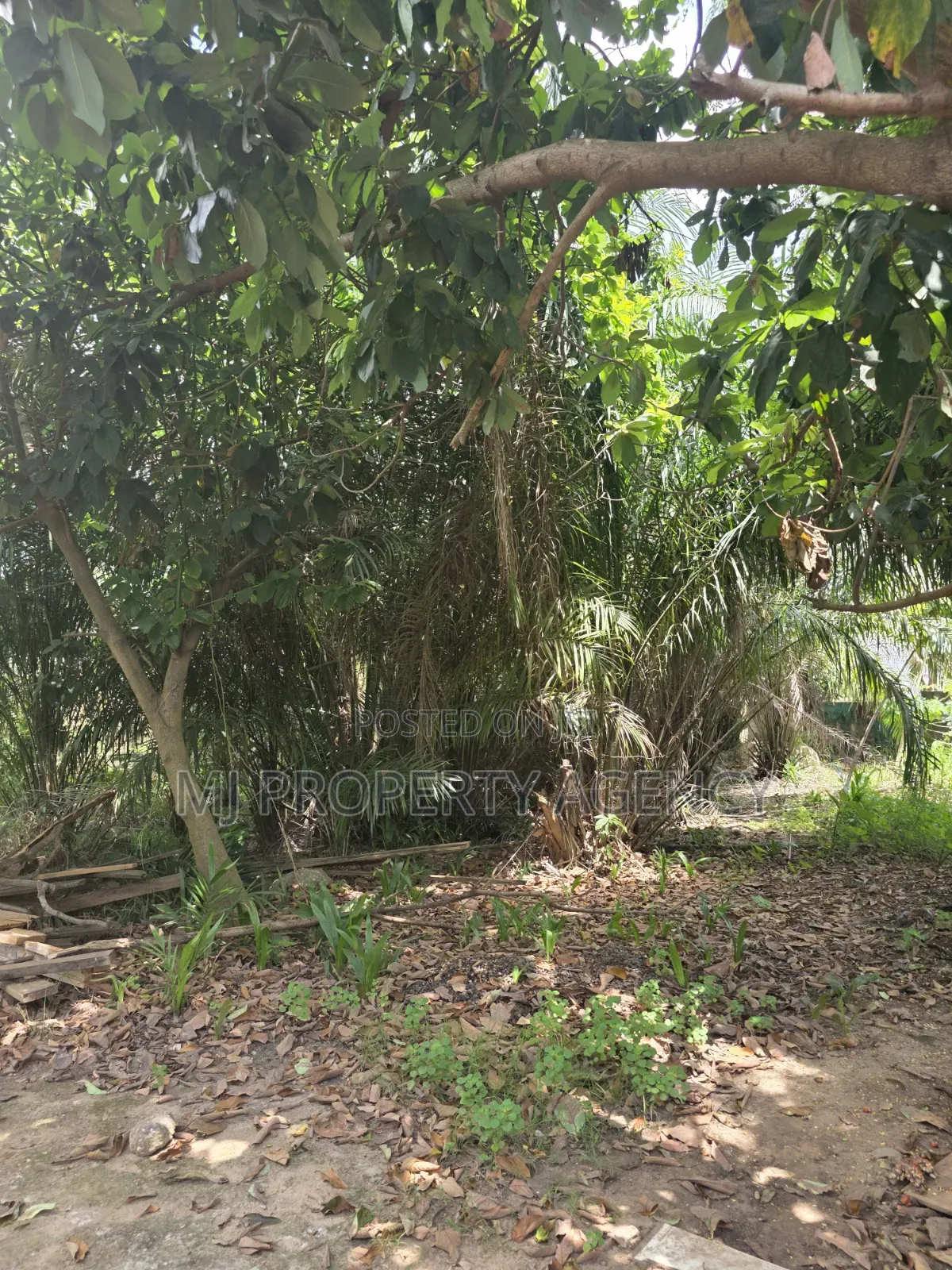 One Half Plot at Ahodwo Nyiayesu