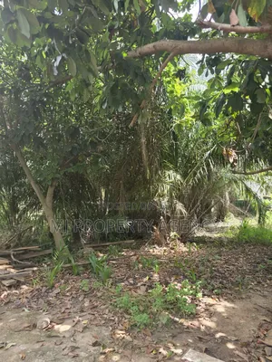 One Half Plot at Ahodwo Nyiayesu