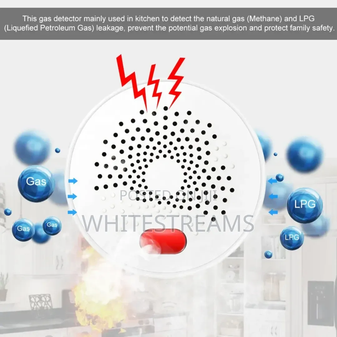 Smart Gas Leak Detector