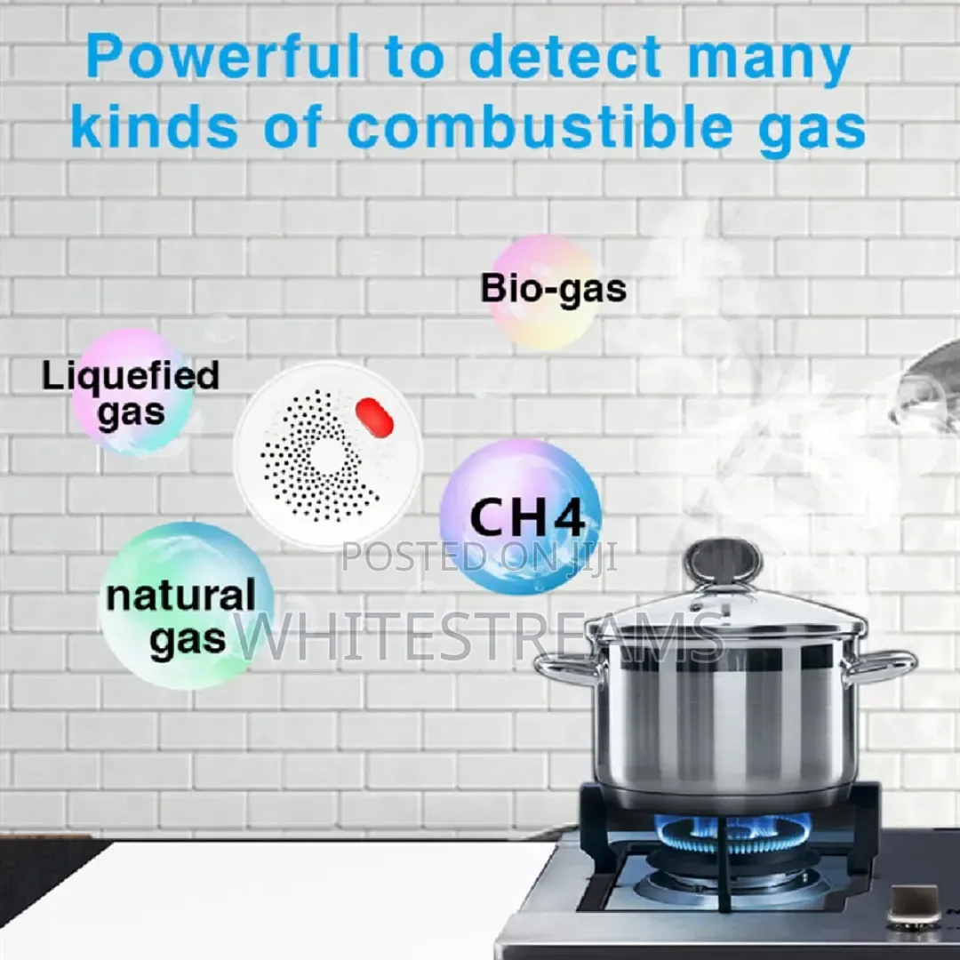 Smart Gas Leak Detector