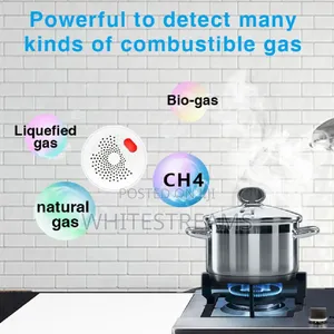 Smart Gas Leak Detector