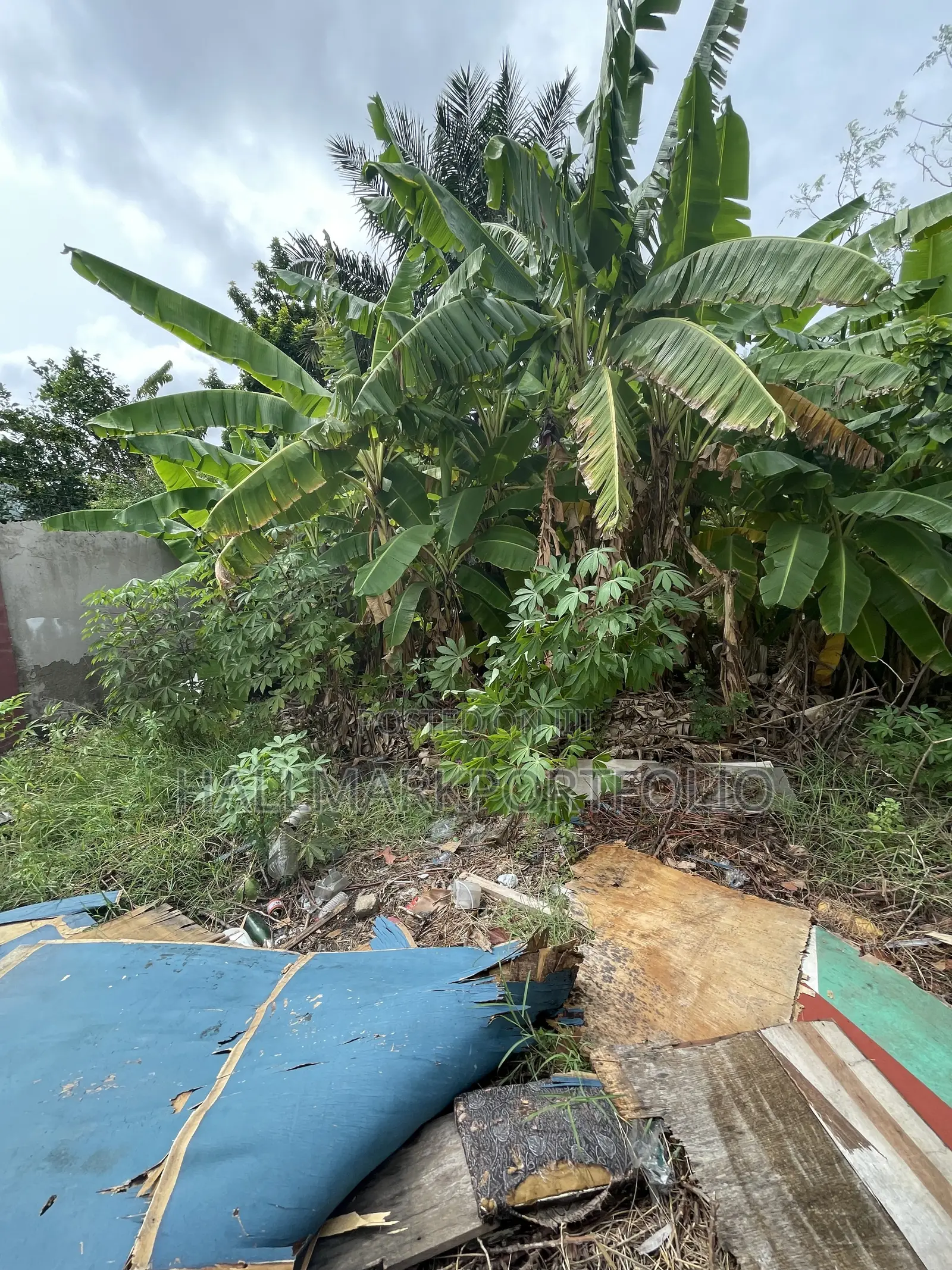 Half Acre of Land for Sale North Legon
