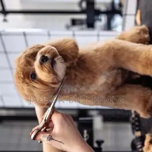 Pet Grooming Services