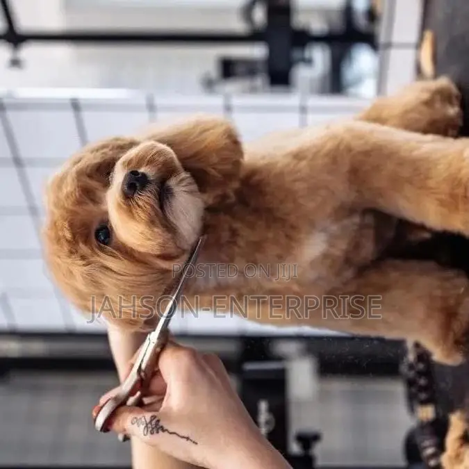 Pet Grooming Services