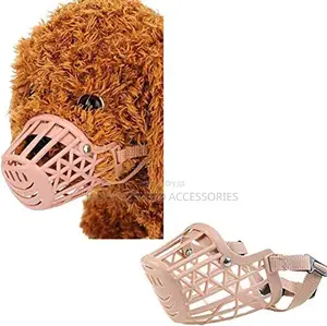 Mouth Guard