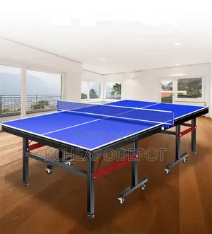 Professional Table Tennis Table Set – Complete Package!