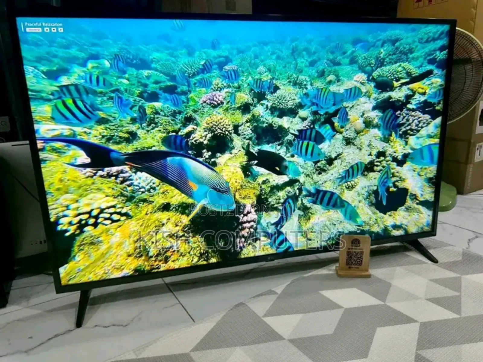 Lg Smart Tv With Accessories