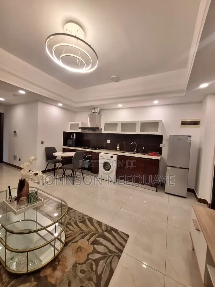 Furnished 1bdrm Apartment in Osu, Oxford Street for rent