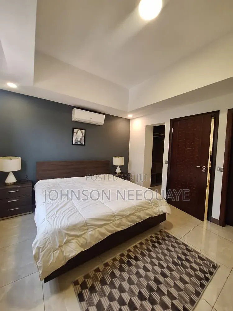 Furnished 1bdrm Apartment in Osu, Oxford Street for rent